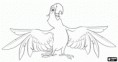 /album/omalovanky/blu-papouek-4daefeb863daa-p-gif/