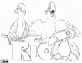 /album/omalovanky/logo-rio-filmu-s-ti-jeho-4d5bf15481848-p-gif/